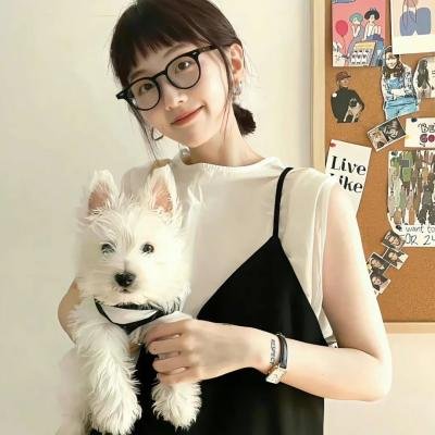 铁骑金戈